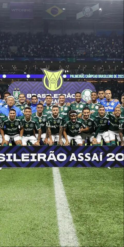 Palmeiras campeão brasileirão 2022